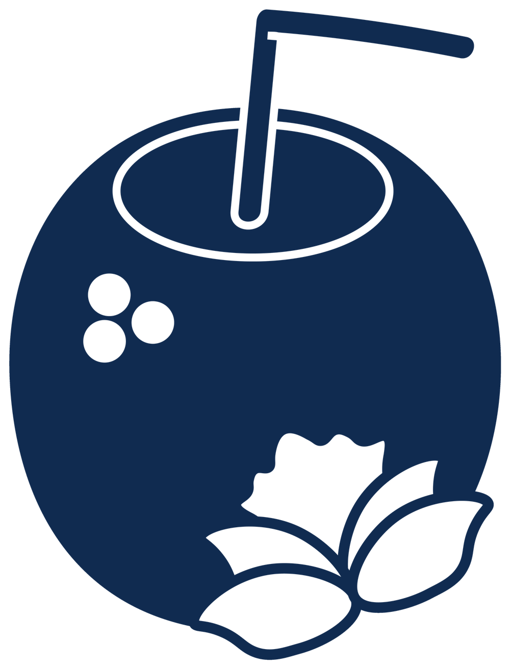 Coconut mark · Navy